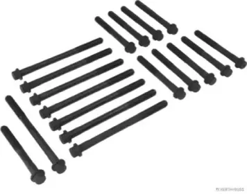 Комплект болтів з головкою системи TORX з чорного металу HERTH+BUSS JAKOPARTS купить