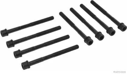 Комплект болтов головки цилидра HERTH+BUSS JAKOPARTS купить