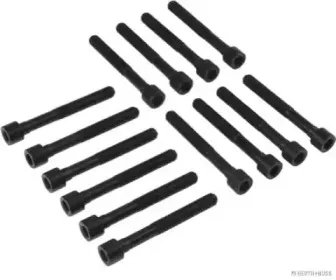 Комплект болтов головки цилидра HERTH+BUSS JAKOPARTS купить