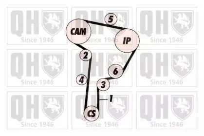 Водяной насос + комплект зубчатого ремня QUINTON HAZELL купить