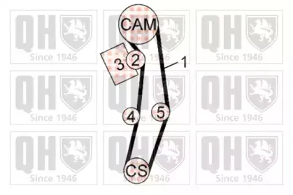 Водяной насос + комплект зубчатого ремня QUINTON HAZELL купить