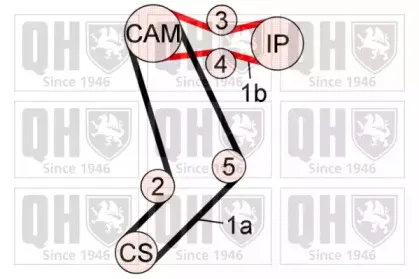 Водяной насос + комплект зубчатого ремня QUINTON HAZELL купить