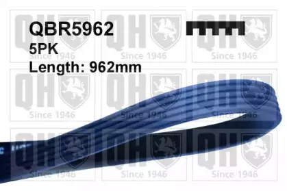 Поликлиновой ремень QUINTON HAZELL купить