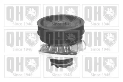 Водяной насос QUINTON HAZELL купить