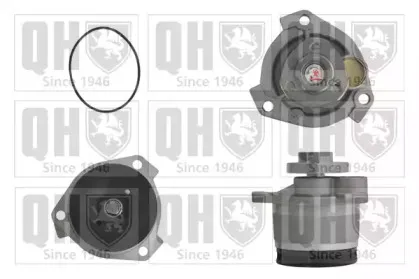 Водяной насос QUINTON HAZELL купить