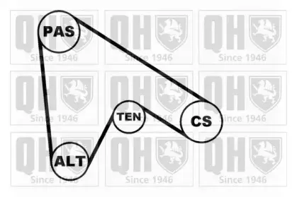 Поликлиновой ременный комплект QUINTON HAZELL купить