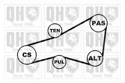 Поликлиновой ременный комплект QUINTON HAZELL купить