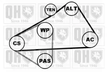 Поликлиновой ременный комплект QUINTON HAZELL купить