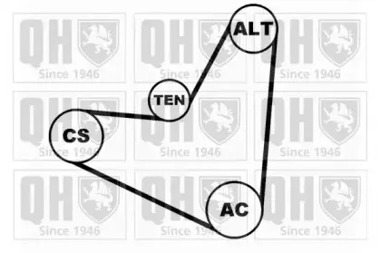 Поликлиновой ременный комплект QUINTON HAZELL купить
