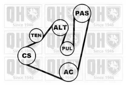 Поликлиновой ременный комплект QUINTON HAZELL купить