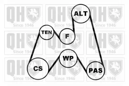Поликлиновой ременный комплект QUINTON HAZELL купить