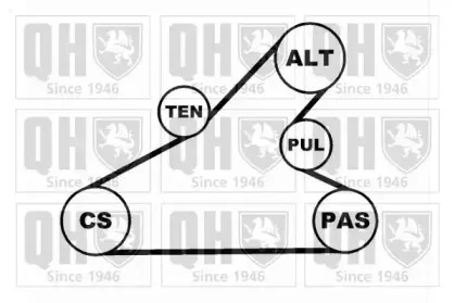 Поликлиновой ременный комплект QUINTON HAZELL купить