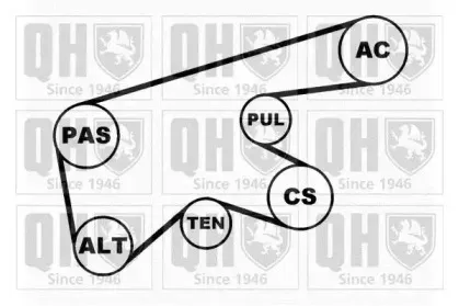 Поликлиновой ременный комплект QUINTON HAZELL купить