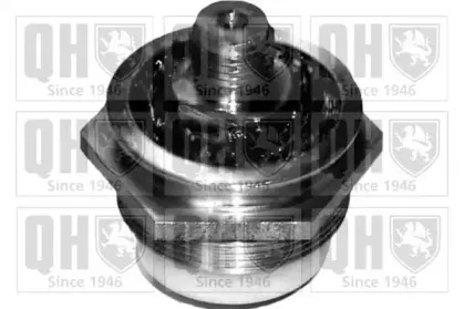 Несущий / направляющий шарнир QUINTON HAZELL купить