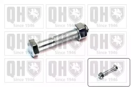 Зажимный болт, несущий / направляющий шарнир QUINTON HAZELL купить