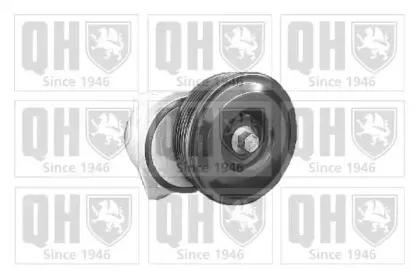 Натяжная планка, поликлиновой ремень QUINTON HAZELL купить