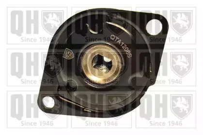 Натяжная планка, поликлиновой ремень QUINTON HAZELL купить