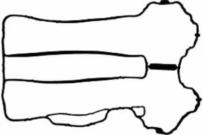 Прокладка, крышка головки цилиндра GOETZE купить