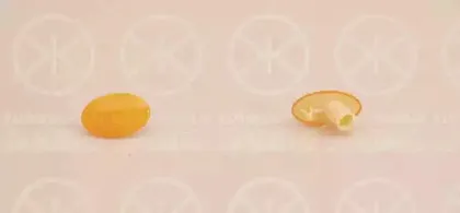 Фонарь указателя поворота KLOKKERHOLM купить