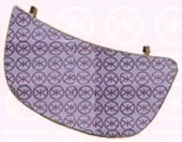 Зеркальное стекло, наружное зеркало KLOKKERHOLM купить