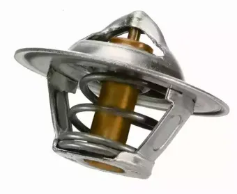 Термостат, охлаждающая жидкость WAHLER купить