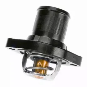 Термостат, охлаждающая жидкость WAHLER купить