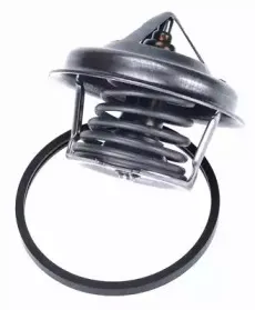 Термостат, охлаждающая жидкость WAHLER купить