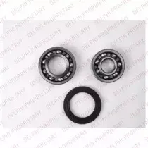 Комплект подшипника ступицы колеса DELPHI купить