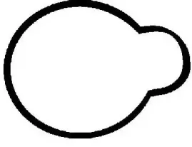 Прокладка колектора VICTOR REINZ купить