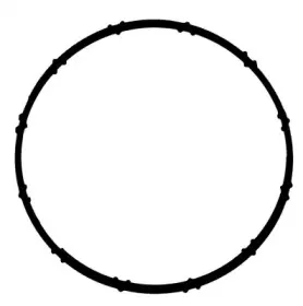 Прокладка, корпус впускного коллектора VICTOR REINZ купить