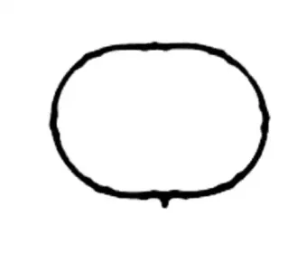 Прокладка, впускной коллектор VICTOR REINZ купить