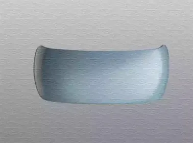 Покрытие, внешнее зеркало MAGNETI MARELLI купить