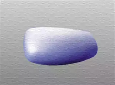 Покрытие, внешнее зеркало MAGNETI MARELLI купить