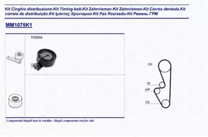 Комплект ремня ГРМ MAGNETI MARELLI купить