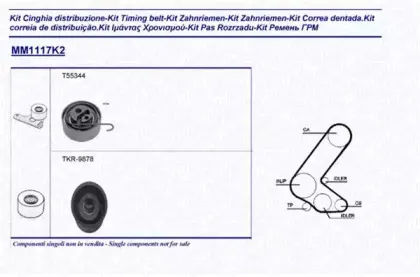 Комплект ремня ГРМ MAGNETI MARELLI купить