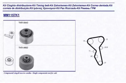 Комплект ремня ГРМ MAGNETI MARELLI купить